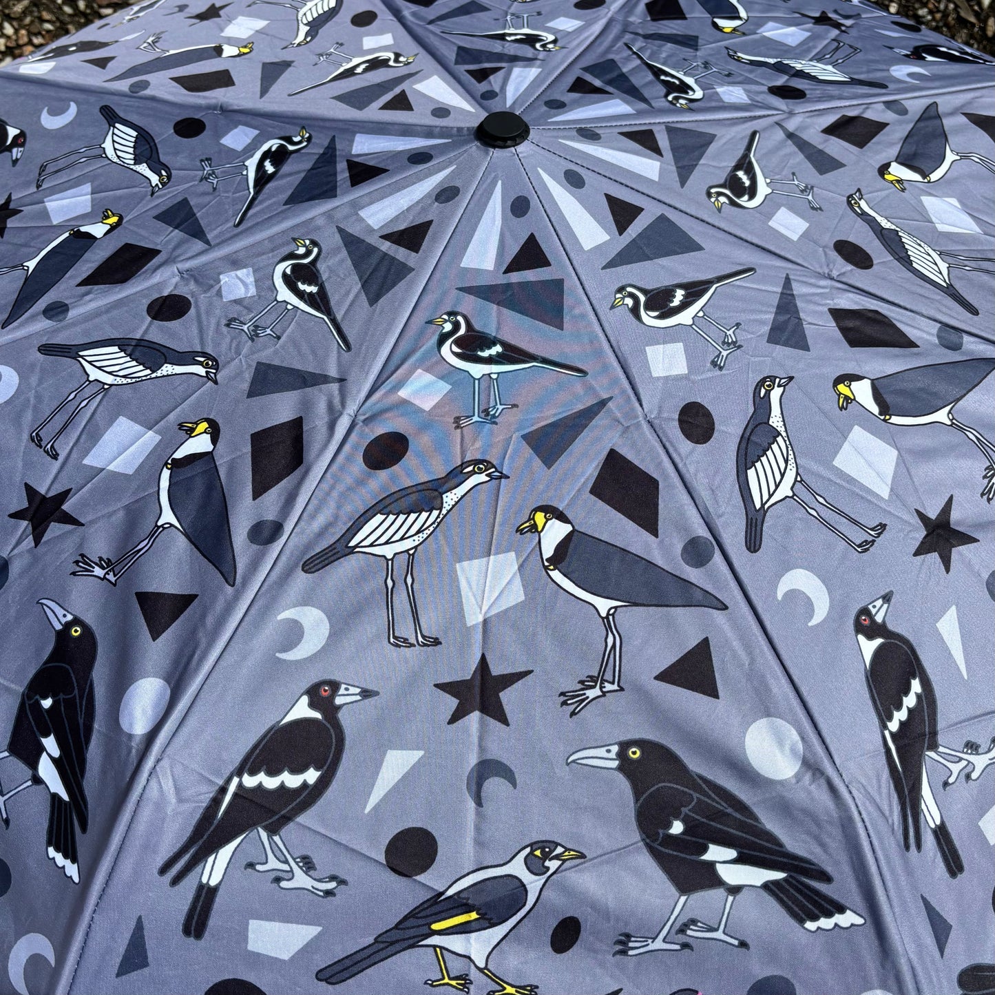 Jesse Irwin Umbrella | Birds of Brisbane in Grey