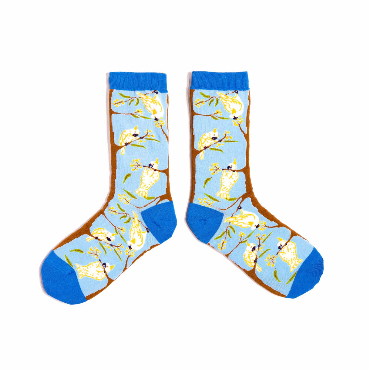 Spencer Flynn Socks | Cockatoo - Medium