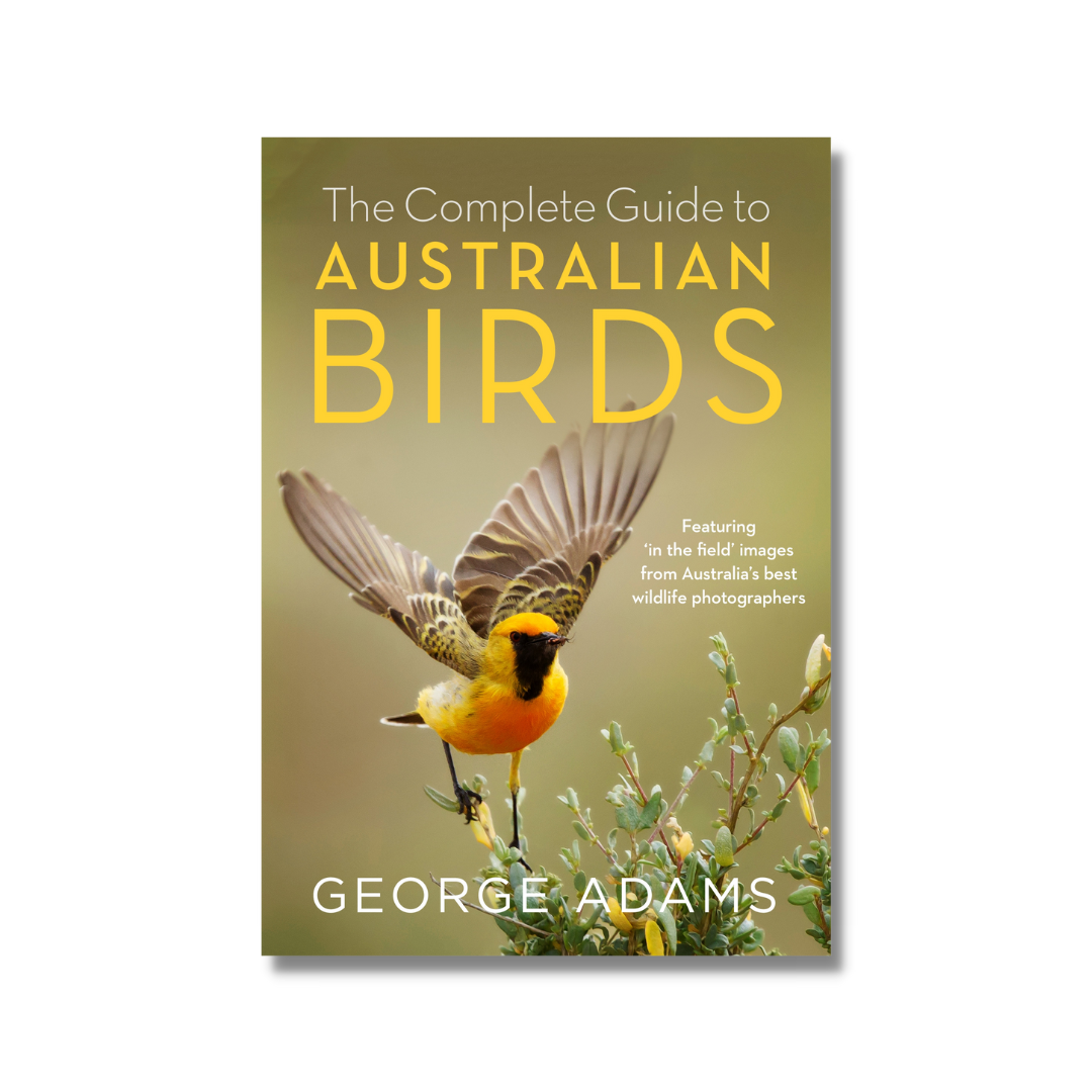 australian bird book guide