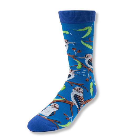 Spencer Flynn Socks | Kookaburra - Large