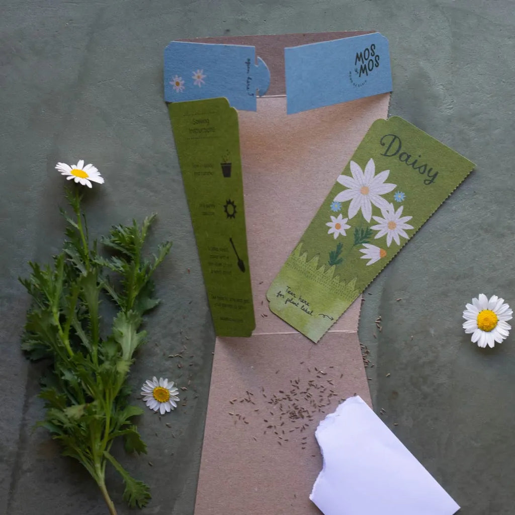 Sow 'n Sow Gift of Seeds | Daisy