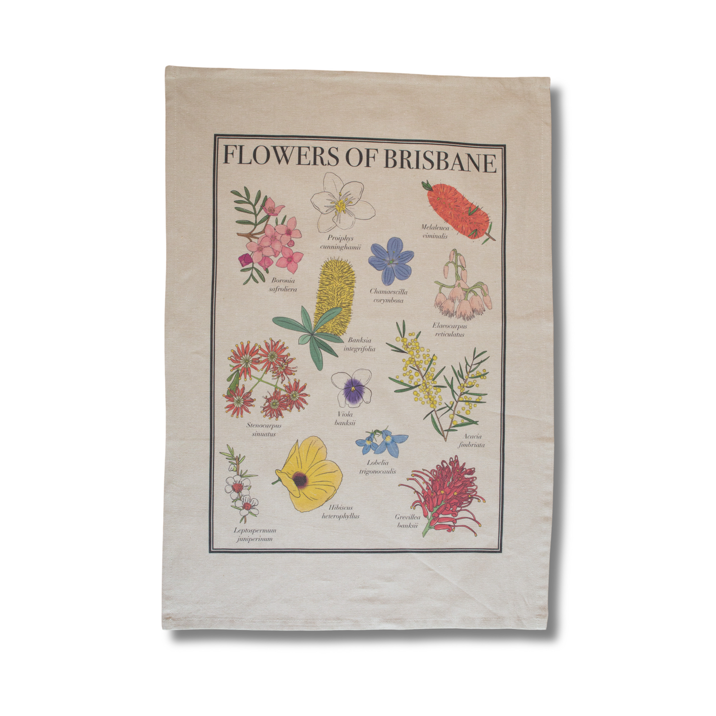 Busy Head Tea Towel | Flowers of Brisbane