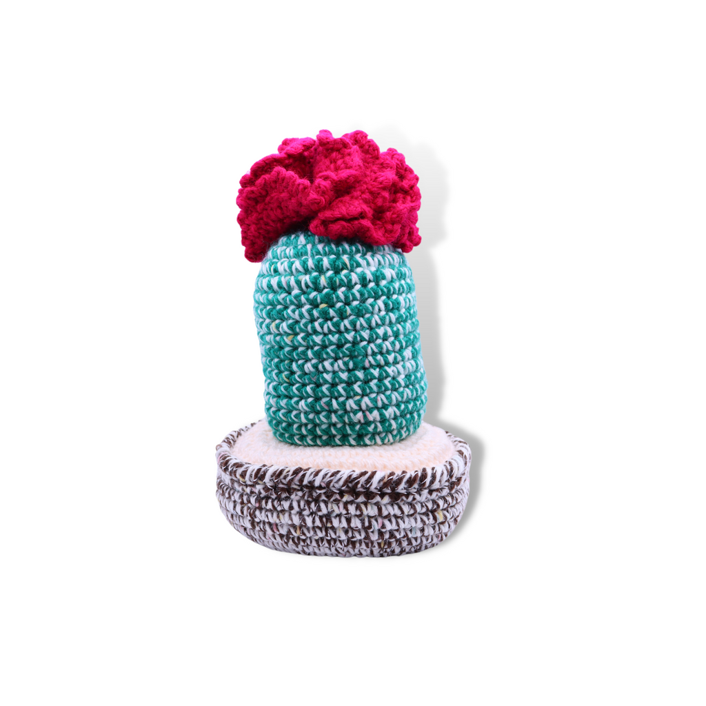 Millie Radovic Knitted + Crocheted Cactus Flower #2