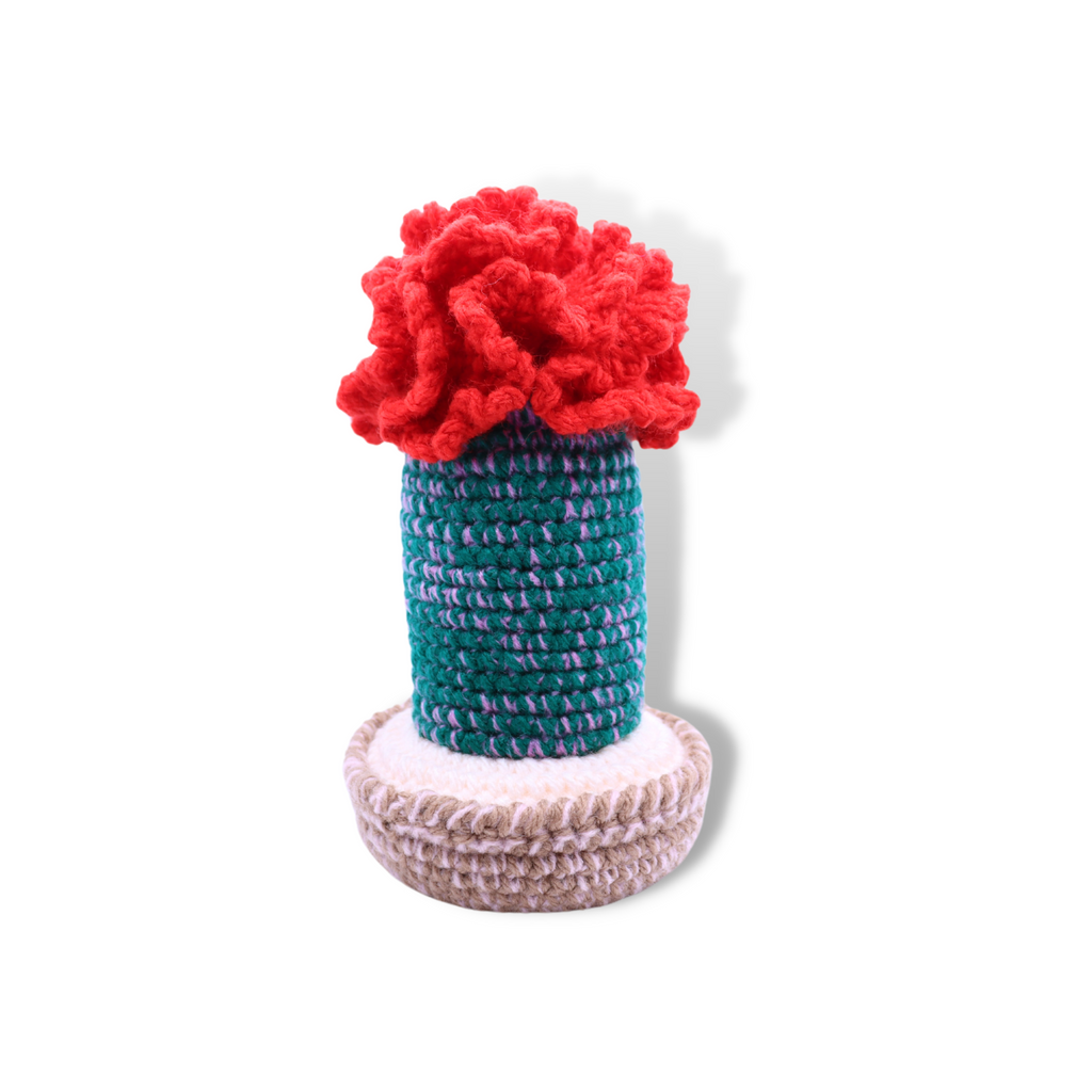 Millie Radovic Knitted + Crocheted Cactus Flower #3