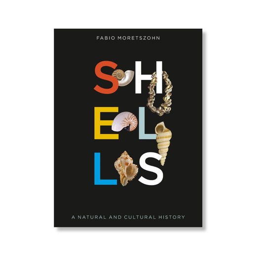 Shells | A Natural and Cultural History by Fabio Moretzsohn
