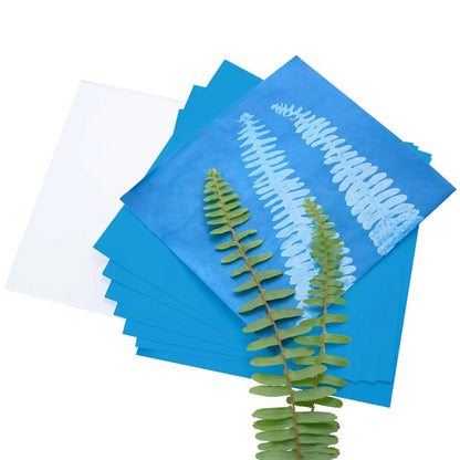 Hershel Solar Print 10cm Starter Kit