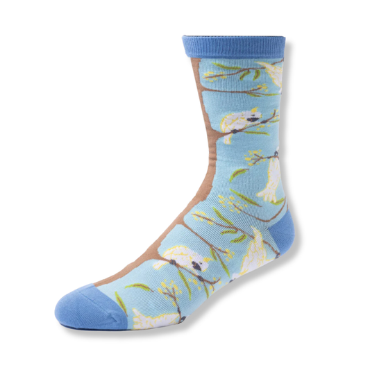 Spencer Flynn Socks | Cockatoo - Medium