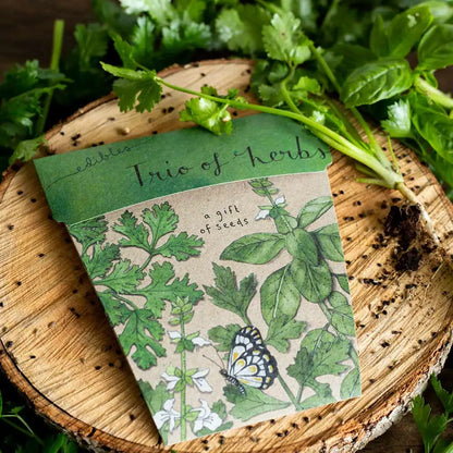 Sow 'n Sow Gift of Seeds | Trio of Herbs