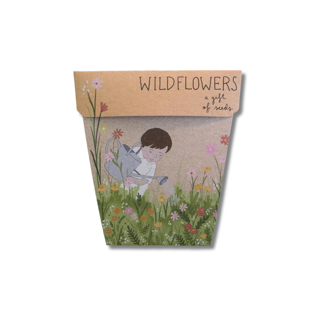 Sow 'n Sow Gift of  Seeds | Wildflowers