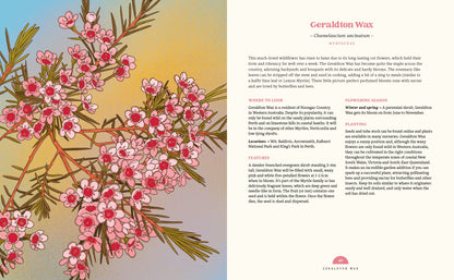 100 Australian Wildflowers by Mel Baxter