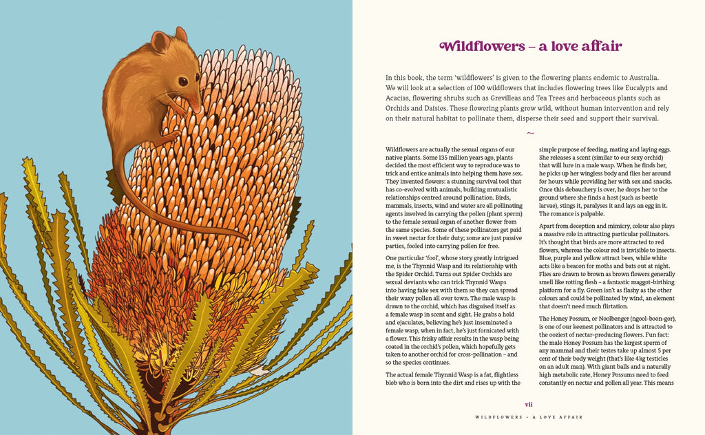 100 Australian Wildflowers by Mel Baxter