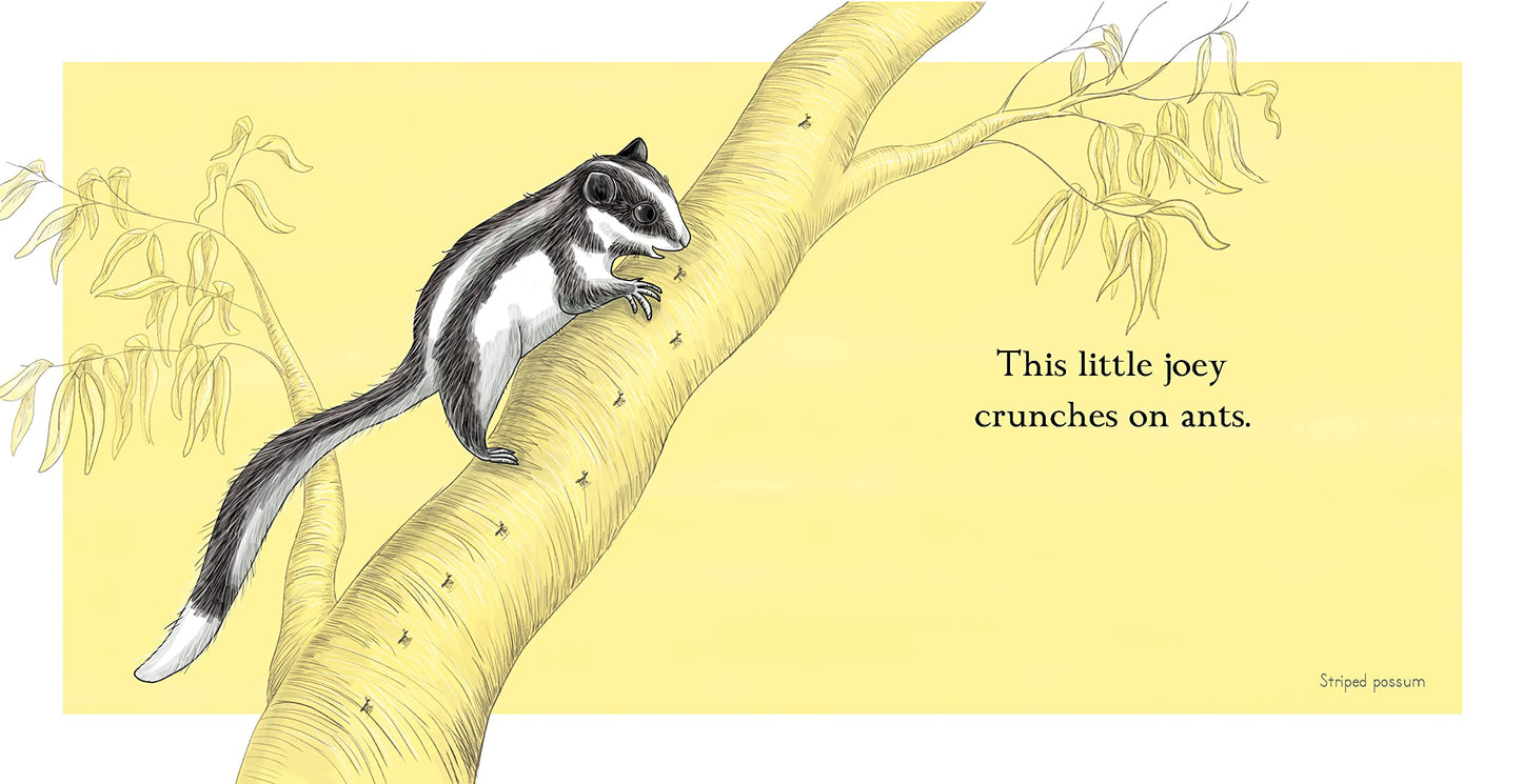 This Little Joey by Renee Treml
