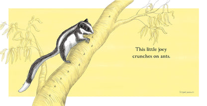 This Little Joey by Renee Treml
