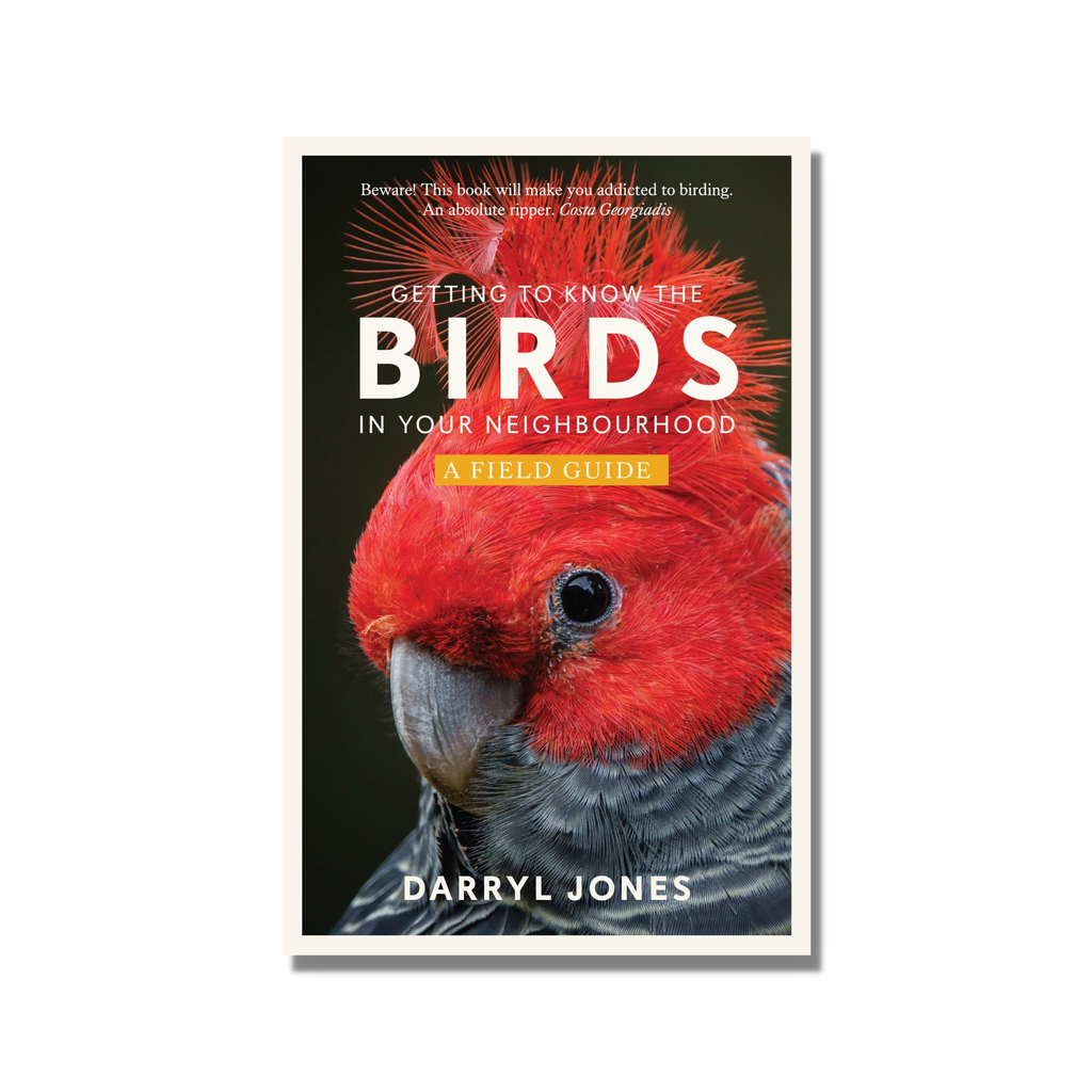 Getting to Know the Birds in Your Neighbourhood by Darryl Jones