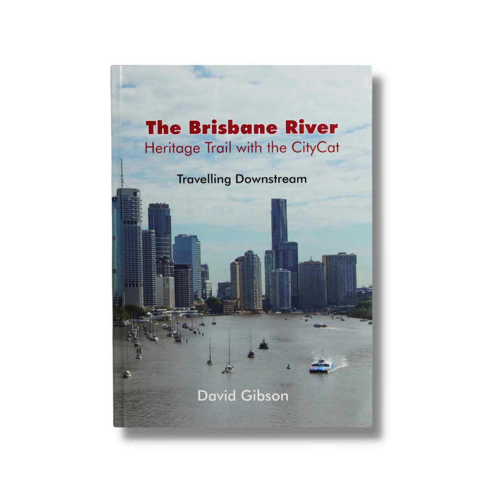 The Brisbane River by David Gibson