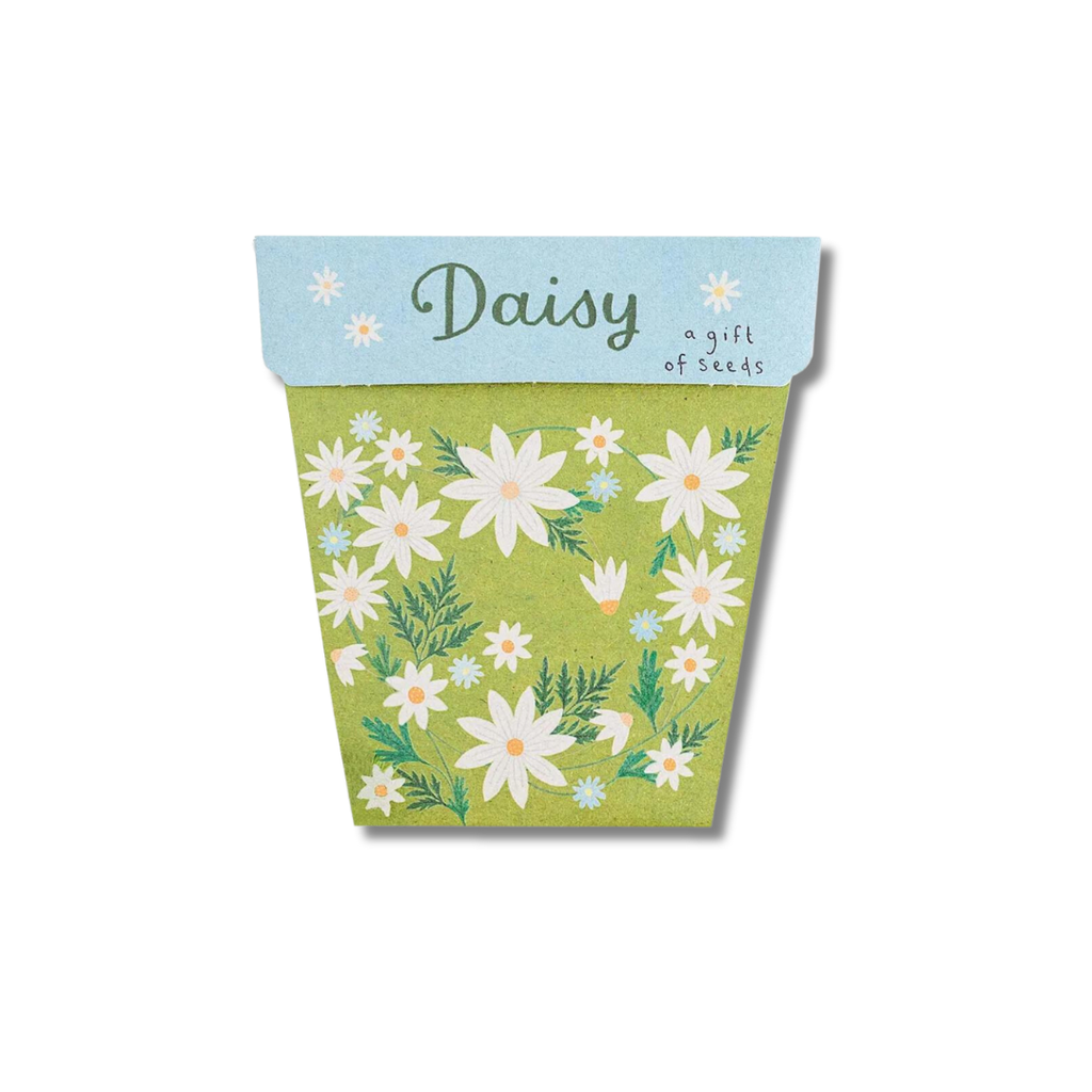 Sow 'n Sow Gift of Seeds | Daisy